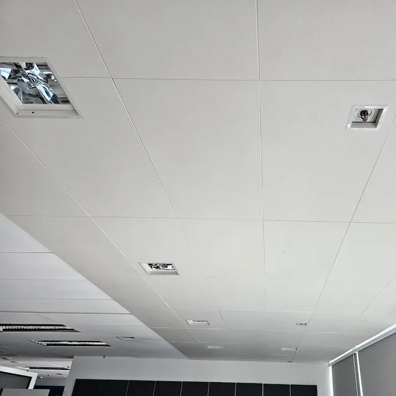 Adaptacja akustyczna biur Amadeus w budynku Vertigo