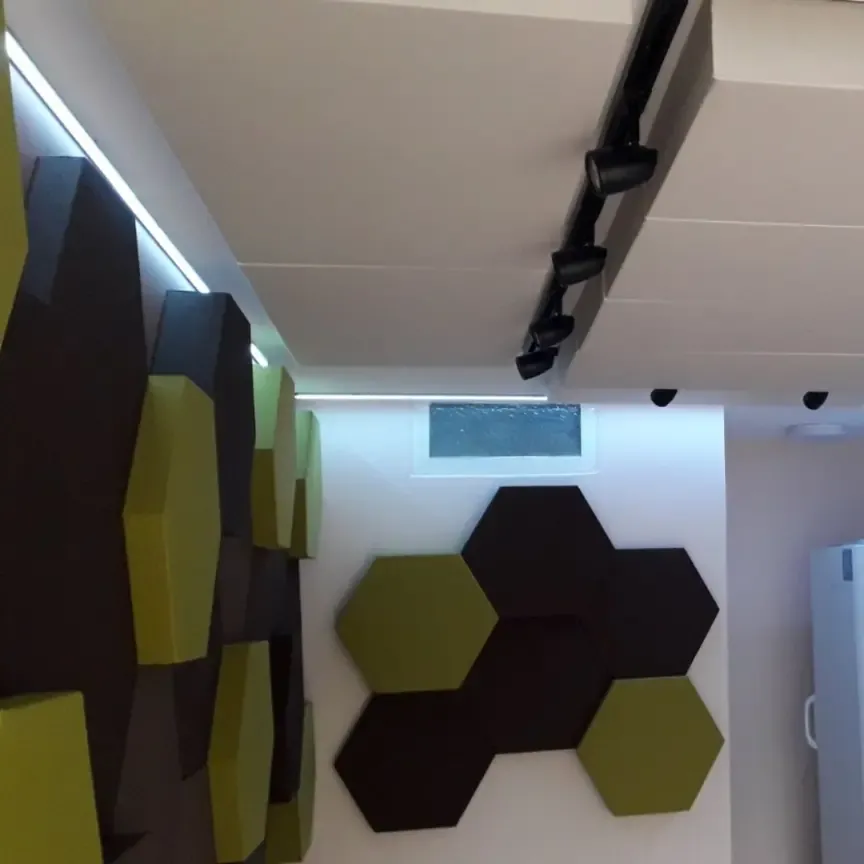 Adaptacja akustyczna mieszkania dla muzyków klasycznych
