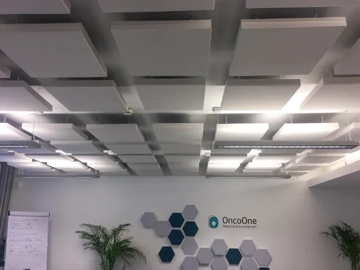 Redukcja echa w salach konferencyjnych i biurach OncoOne