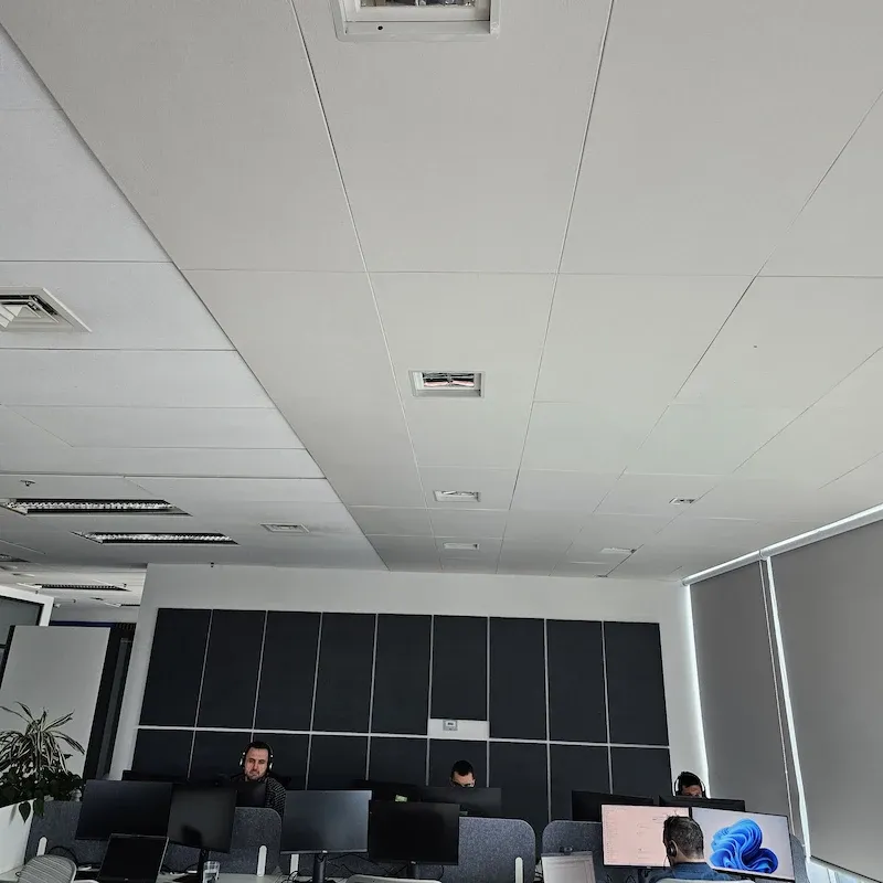 Adaptacja akustyczna biur Amadeus w budynku Vertigo