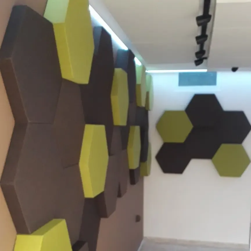 Adaptacja akustyczna mieszkania dla muzyków klasycznych